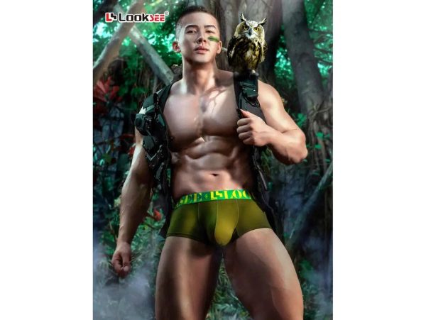 Gay Boxer Briefs | LOOK SEE Underrwear Sexy Breathable Boxer Briefs on Sale - Image 2
