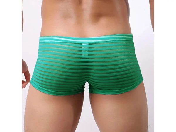 Gay Briefs | CLEVER-MENMODE Underwear See-Through Boxer Briefs Sale
