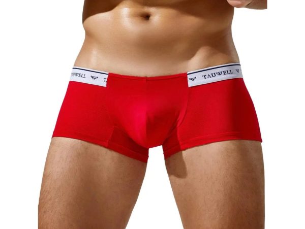 Gay Boxer Briefs | TAUWELL Mesh Boxer Briefs For Discount - Image 5