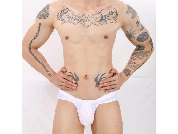 Gay Briefs | CLEVER-MENMODE Underwear Ultra-Thin Large Pouch Briefs Cheap - Image 2